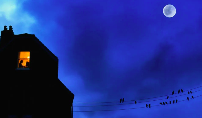 Screen shot 2022 05 16 at 8.10.37 pm.png?ixlib=rails 2.1