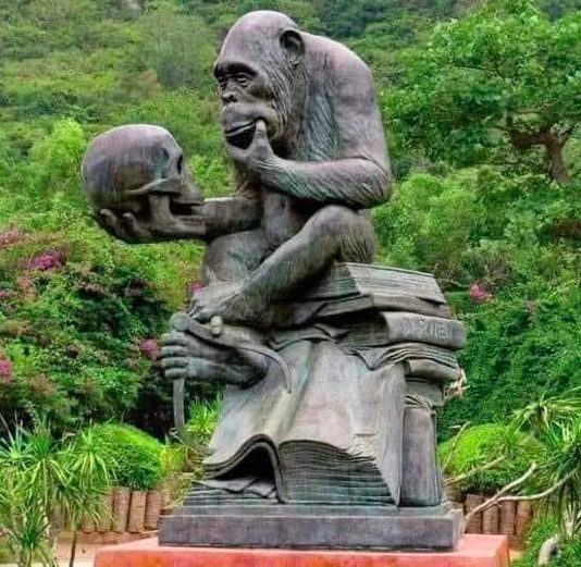 Screen shot 2022 05 31 at 7.10.57 pm.png?ixlib=rails 2.1