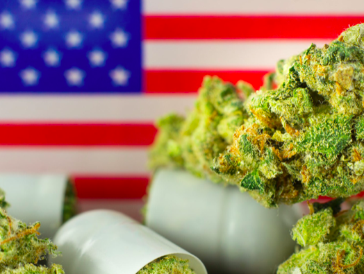 Screen shot 2022 06 13 at 9.16.55 pm.png?ixlib=rails 2.1