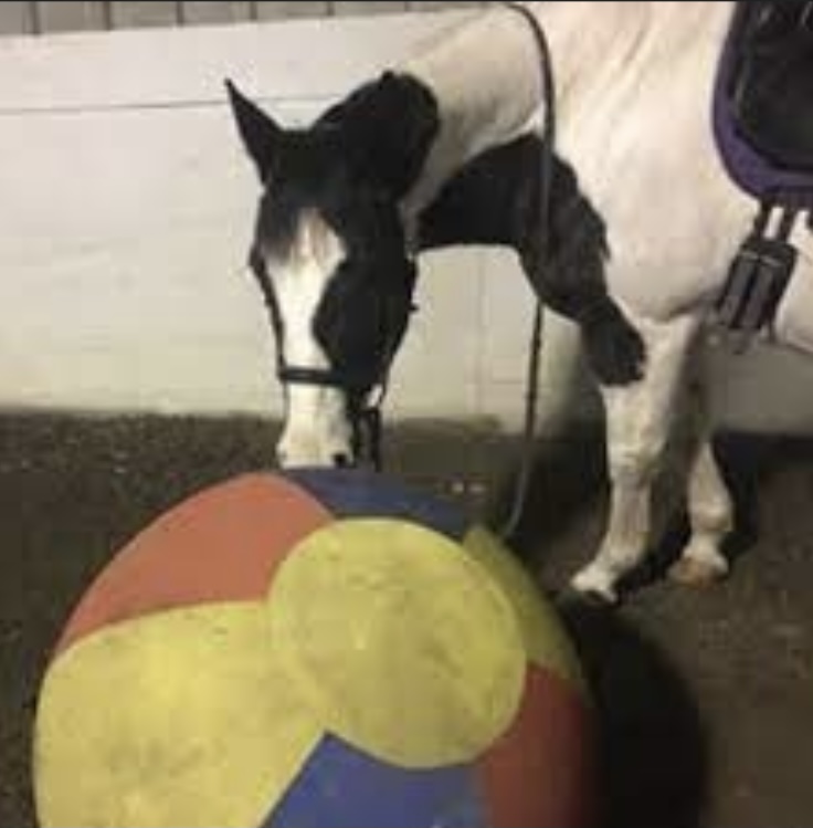 48ef1508 2160 4384 ae2e c78860b4064f.jpeg?ixlib=rails 2.1