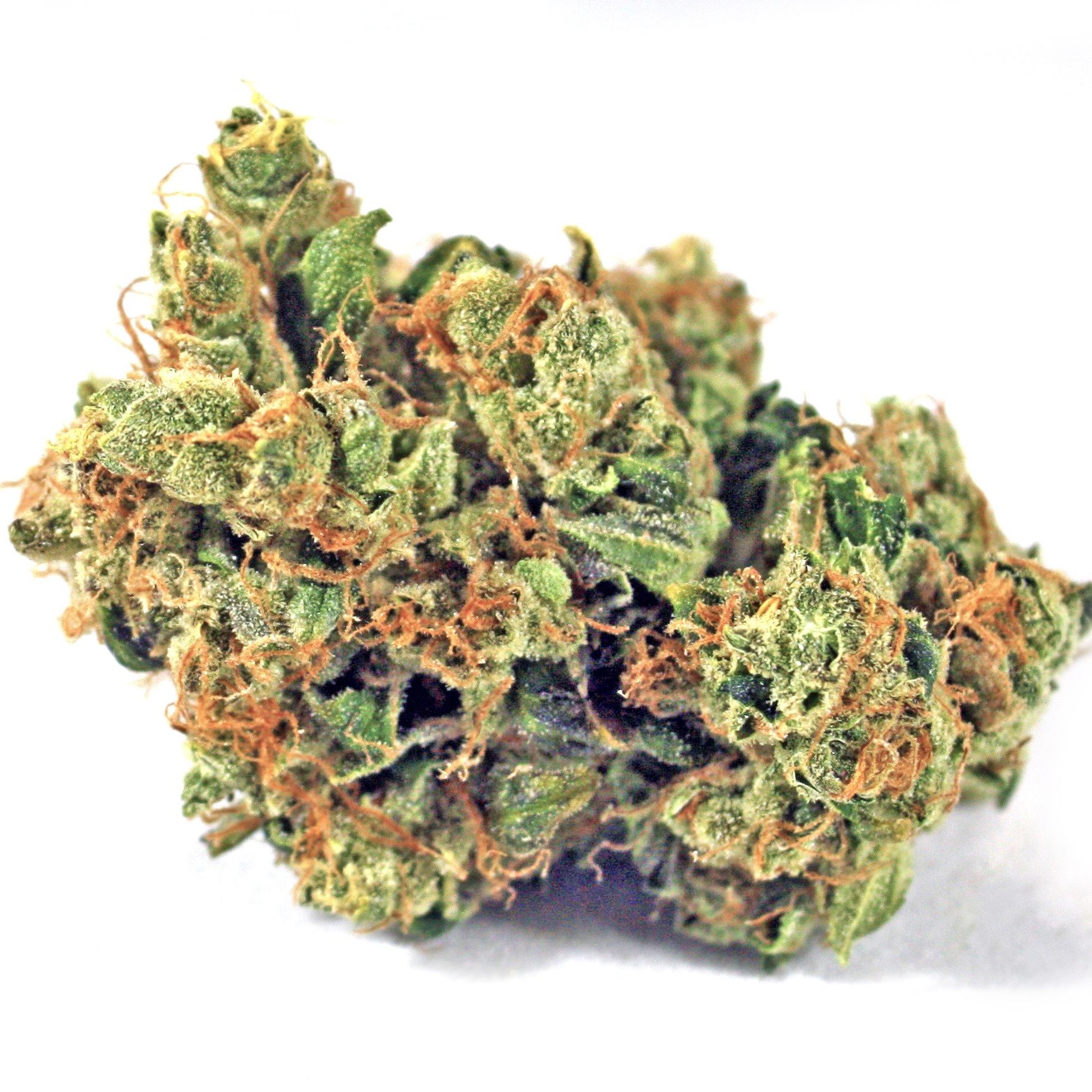 Mrmwmoktsfgjlax4n7py verano g6 1.jpg?ixlib=rails 2.1