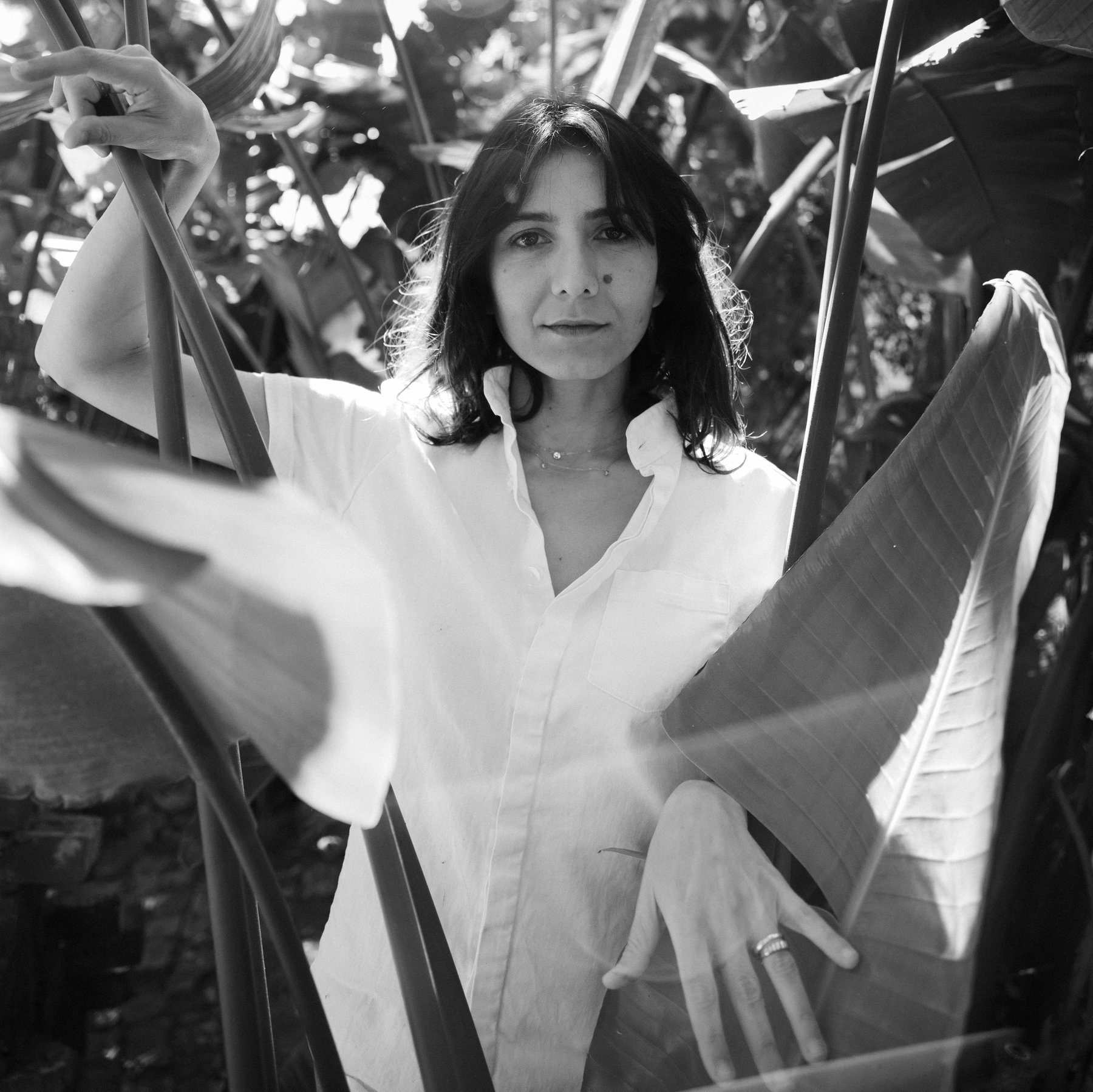 13moshfegh1 mediumsquareat3x.jpg?ixlib=rails 2.1