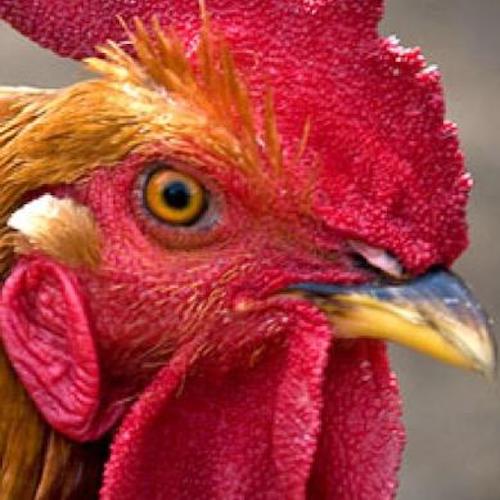 Tp4lghru 400x400.jpg?ixlib=rails 2.1