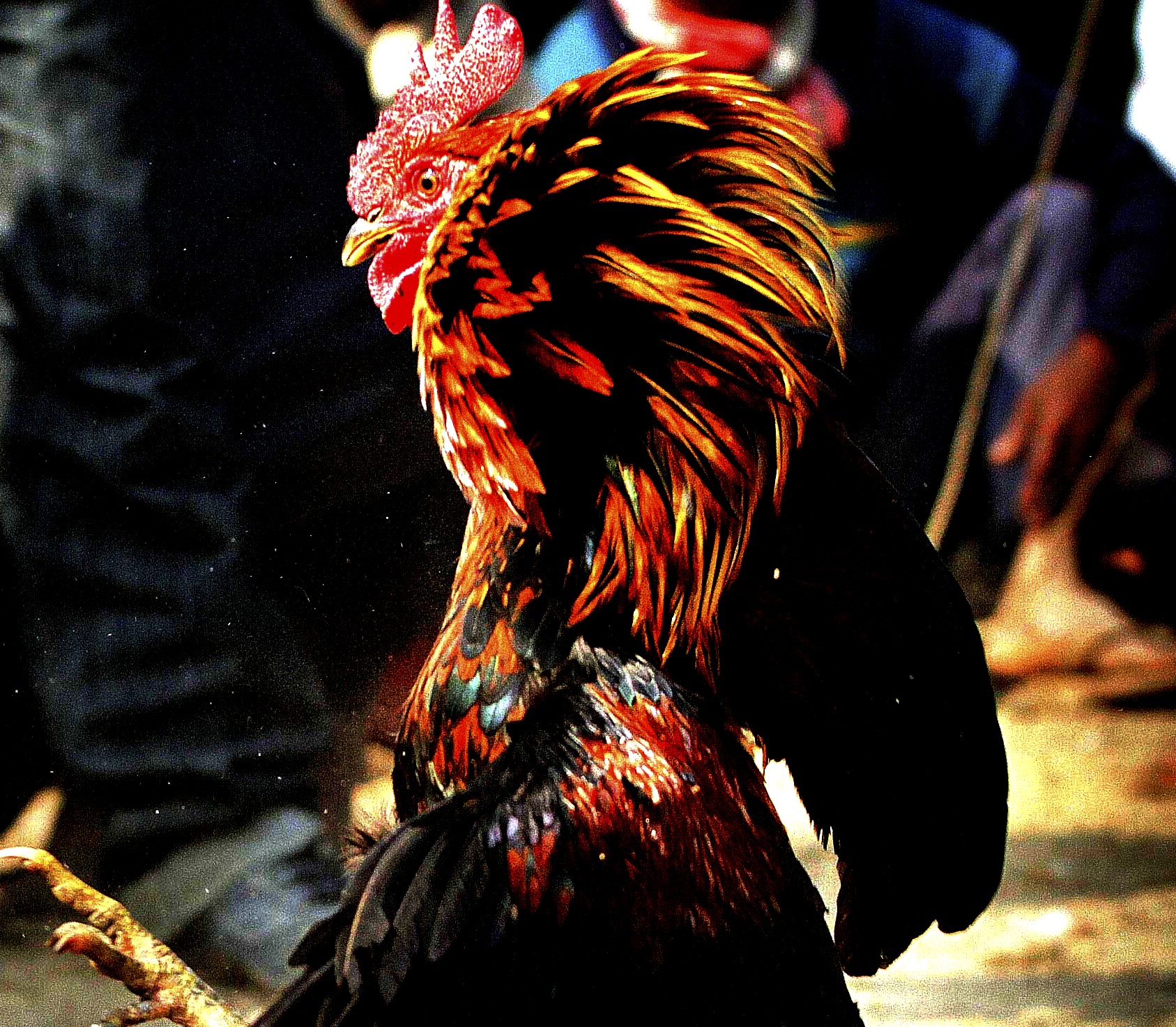 Ap21059342543155 1.jpg?ixlib=rails 2.1