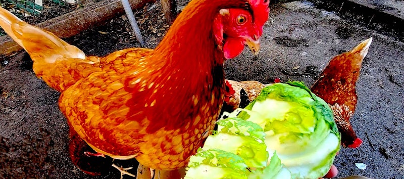 Maxresdefault 68.jpg?ixlib=rails 2.1