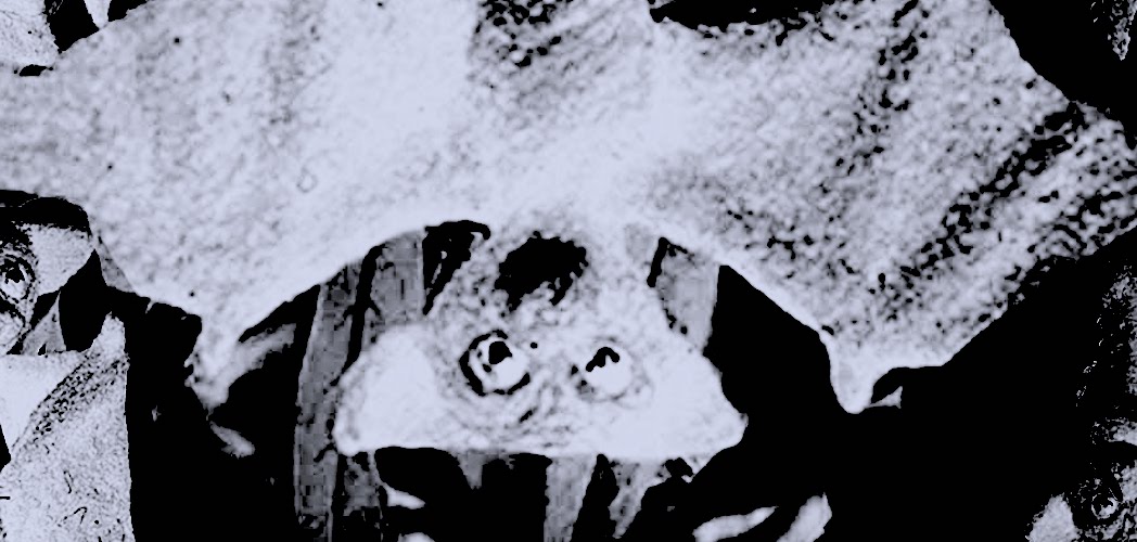 Maxresdefault 2.jpg?ixlib=rails 2.1