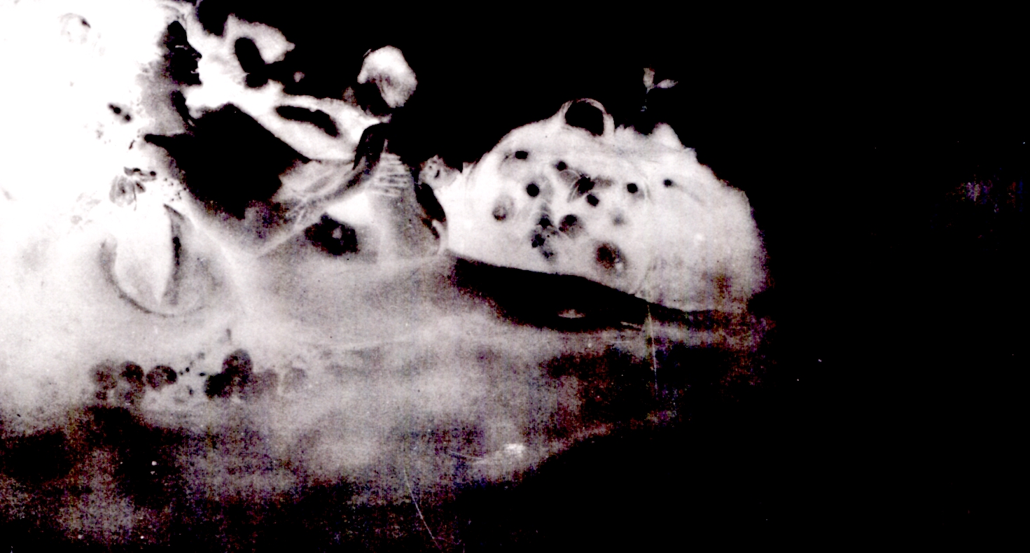 Mv5bn2m4zje0zgitnwm5nc00mzbkltlinjctmtk1mjlizjlizgjkxkeyxkfqcgdeqxvynduynzcwnju . v1 .jpg?ixlib=rails 2.1