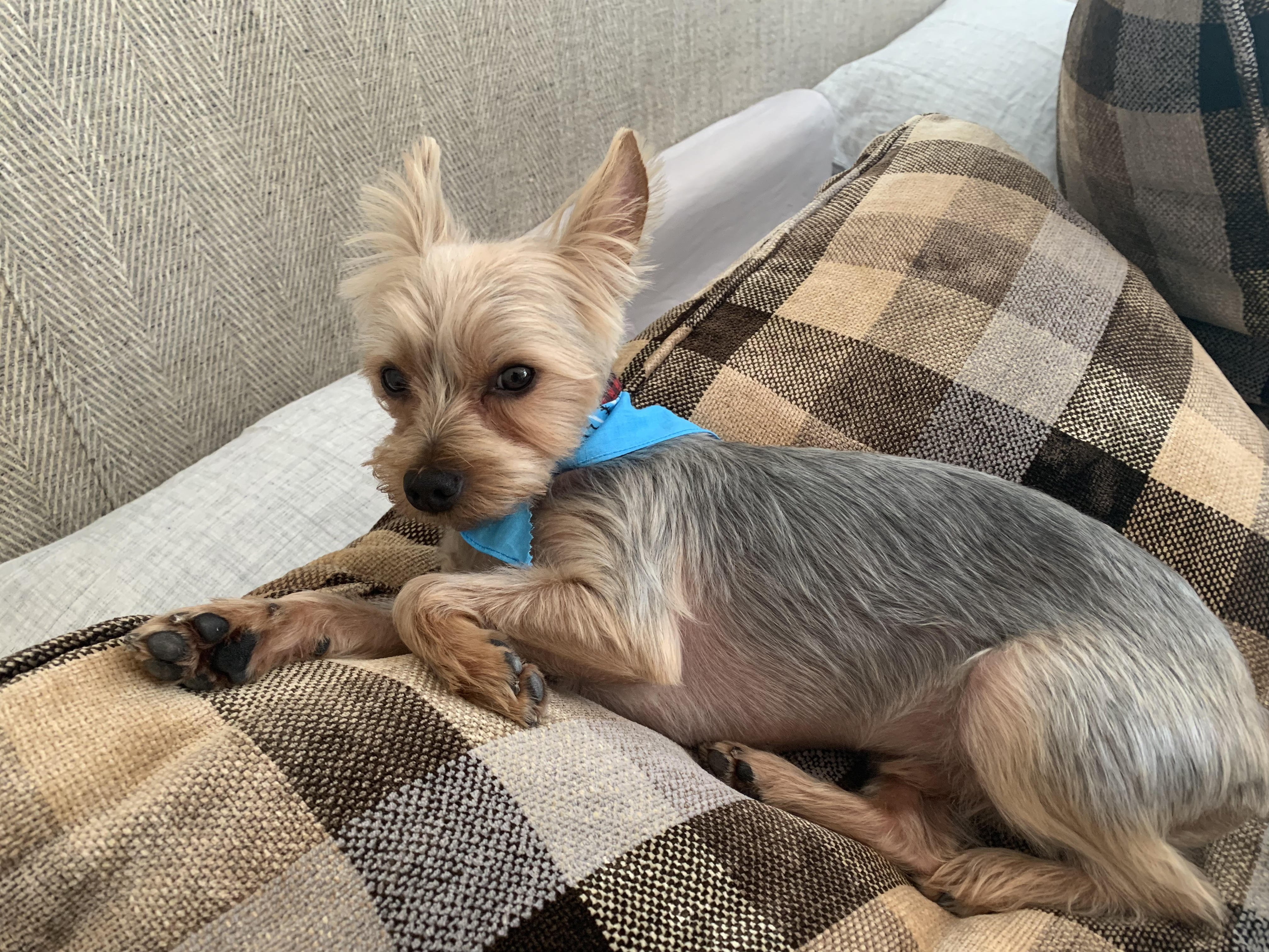 Img 0648.jpg?ixlib=rails 2.1