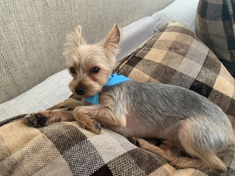 Img 0648.jpg?ixlib=rails 2.1