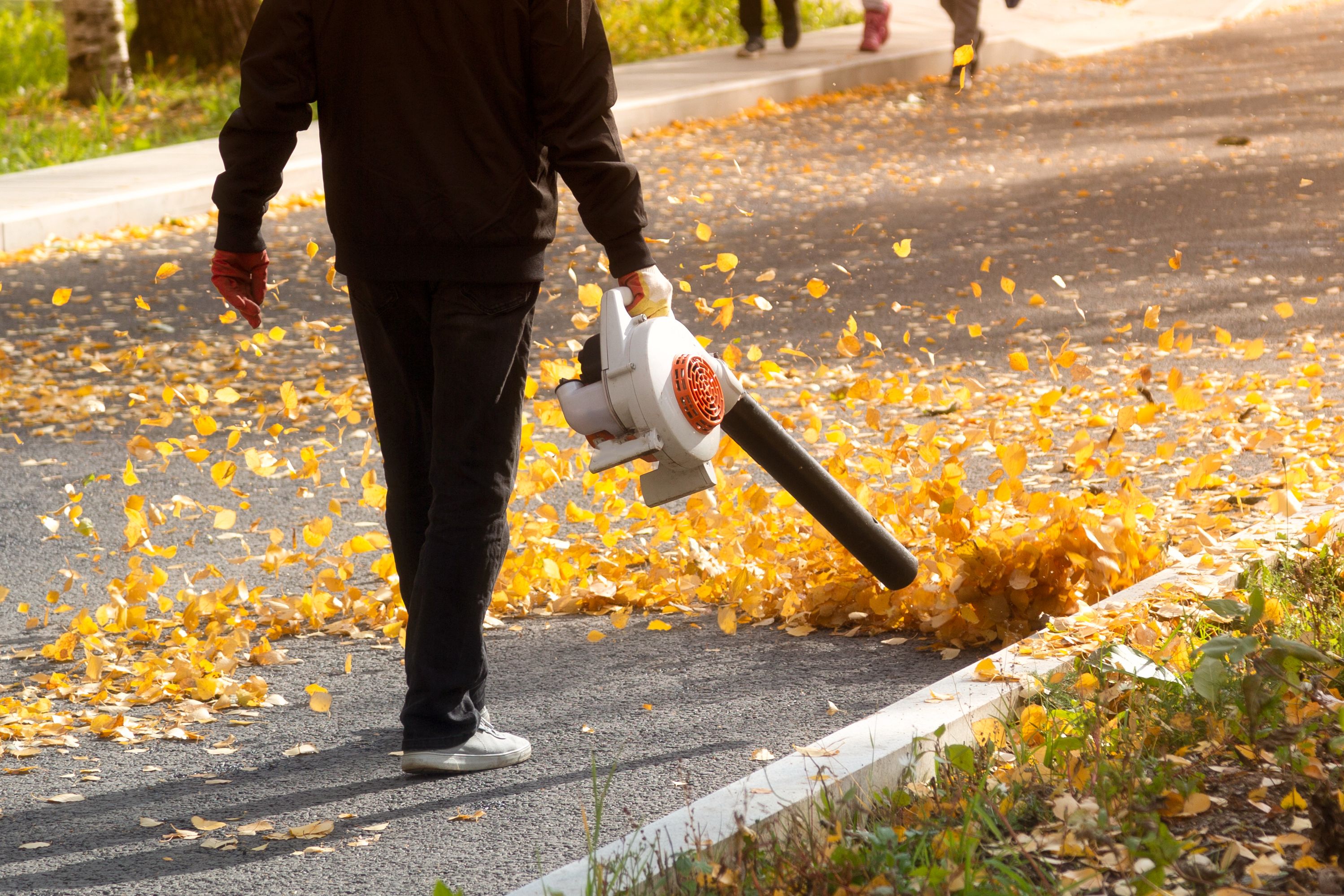 Ban All Leaf Blowers Www Splicetoday Com   Best Leaf Blowers 1664596846 