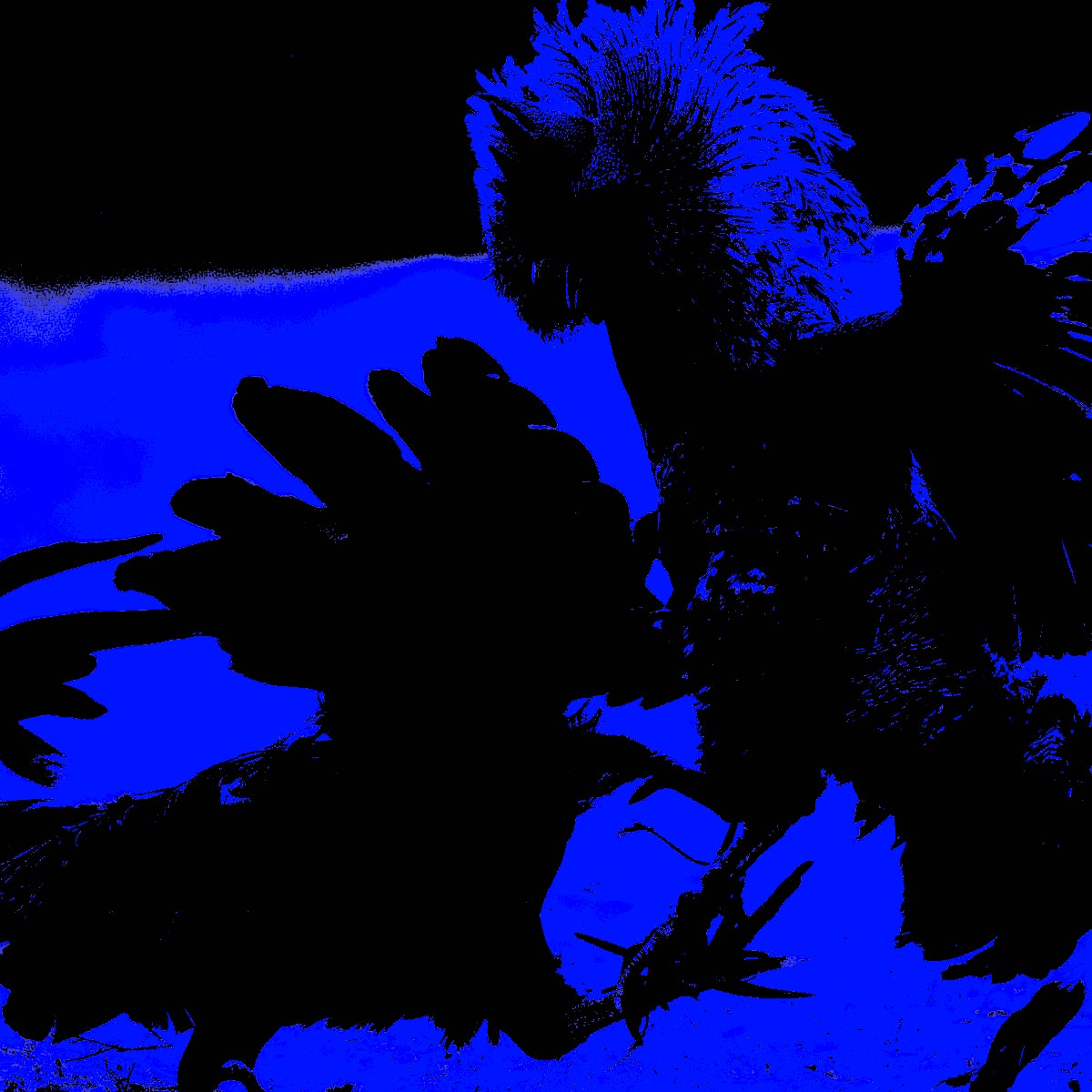 3492.jpg?ixlib=rails 2.1