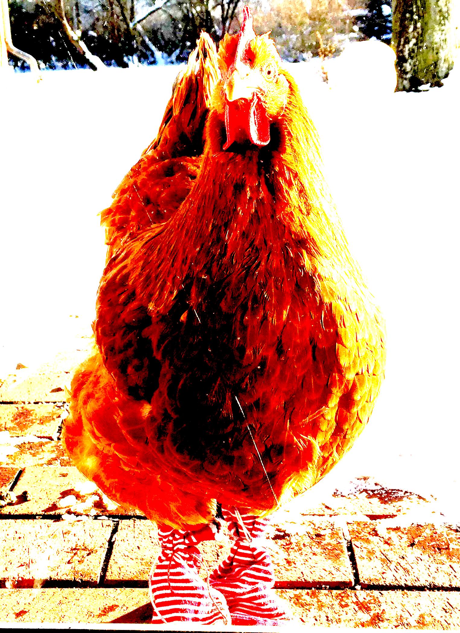 9bcs0vl028b51.jpg?ixlib=rails 2.1