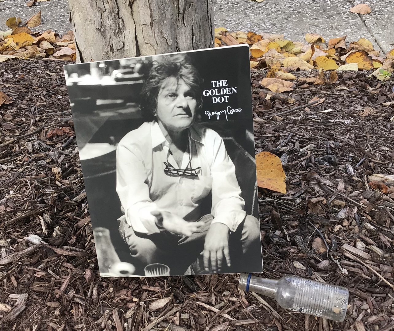 27db8d5d 404b 455d 8867 cd8ce8483c0d.jpeg?ixlib=rails 2.1