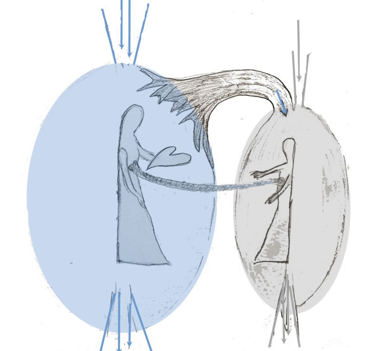 235ae63c 3ed8 45bc ae54 b4e5f90b1f1a.jpeg?ixlib=rails 2.1