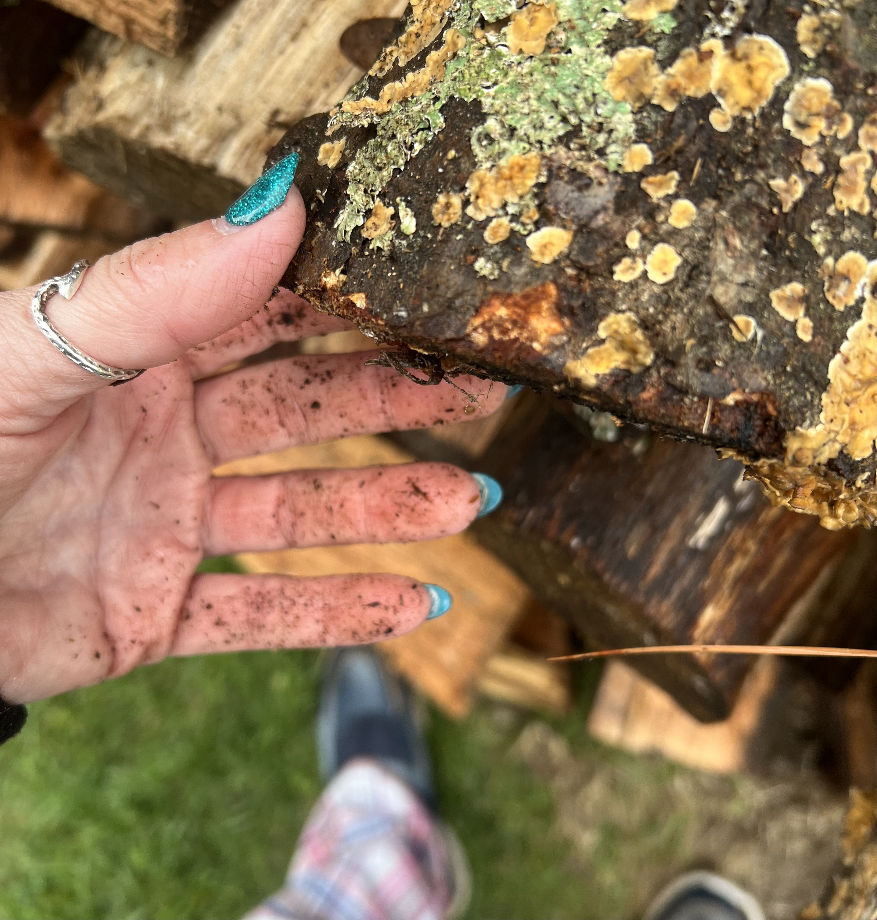 01913f4e 26ef 445e a4e0 8ef4ac4d3b37.jpeg?ixlib=rails 2.1