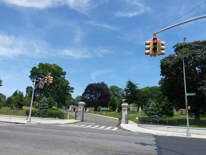 Evergreens.jpg?ixlib=rails 2.1