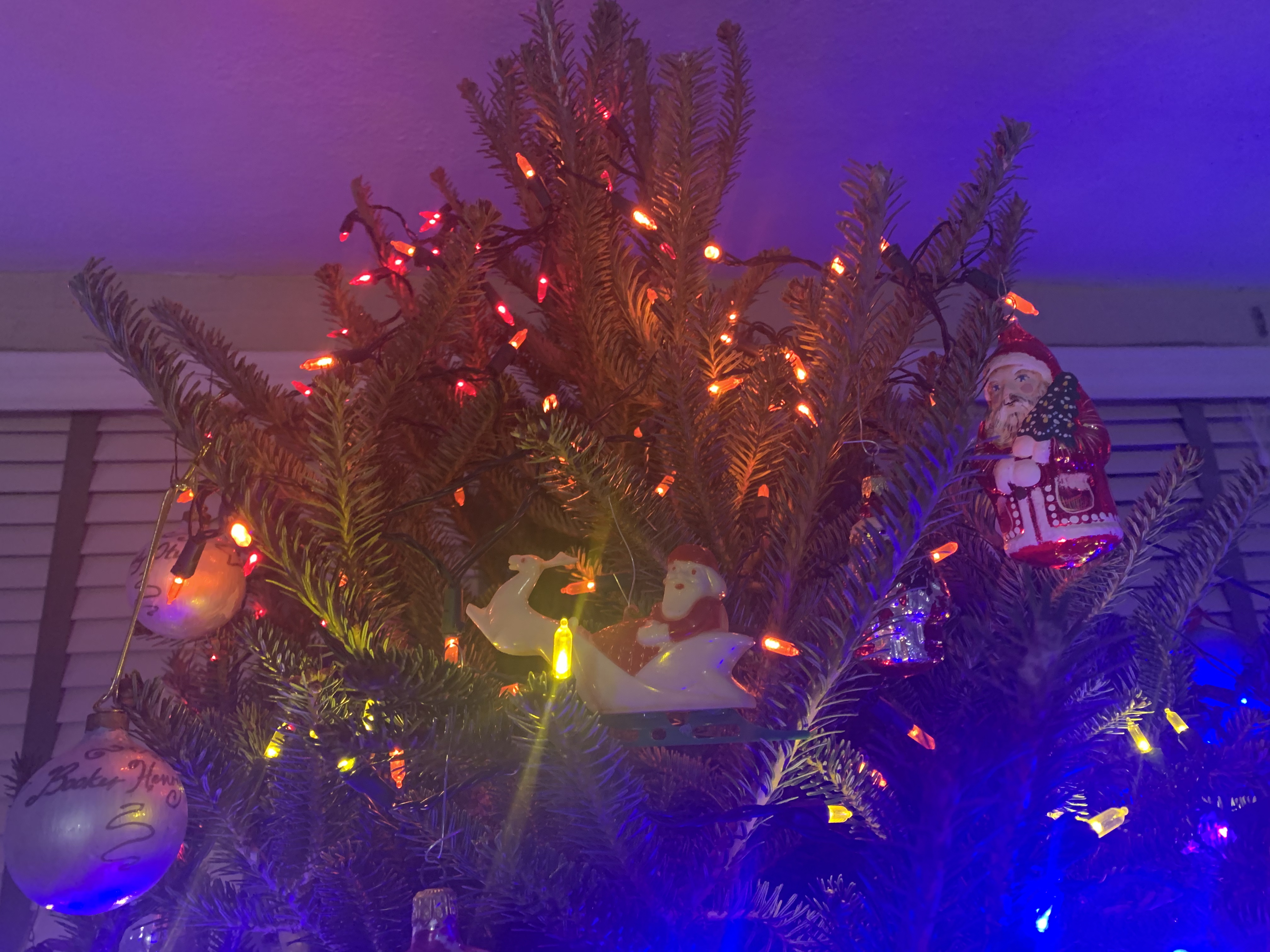 Img 0694.jpg?ixlib=rails 2.1