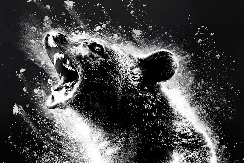 Cocaine bear review featured culture.jpg?ixlib=rails 2.1