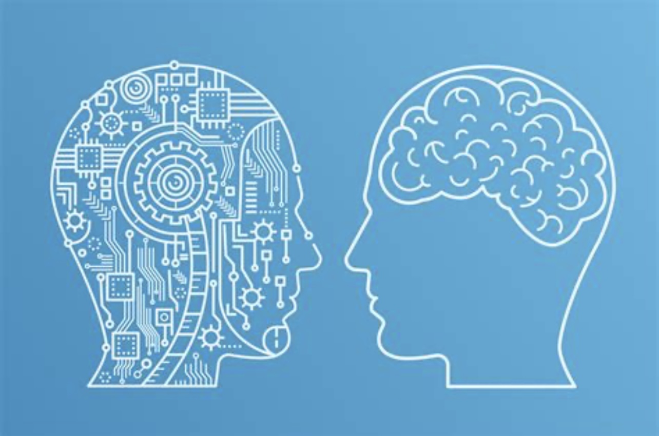 0f9b1afb ba35 42c3 b1a6 e3d5258368ea.jpeg?ixlib=rails 2.1