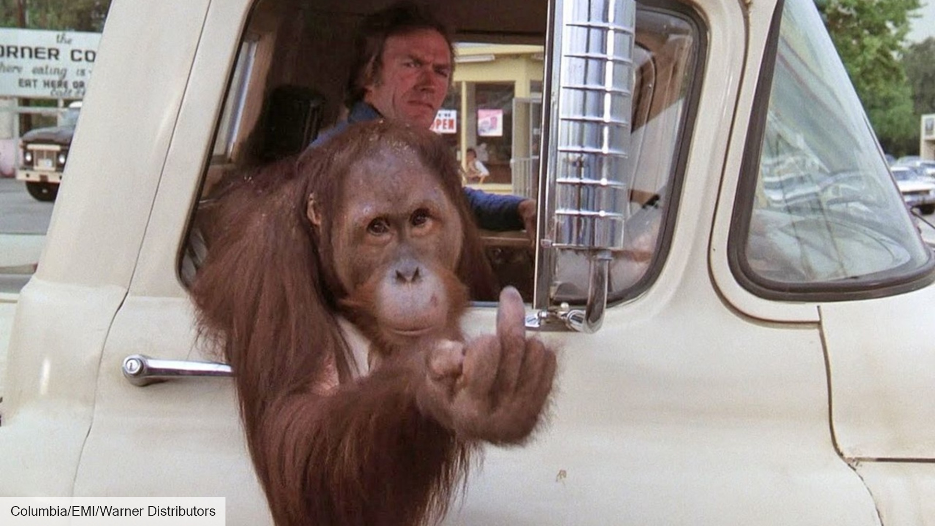 Every which way.jpg?ixlib=rails 2.1