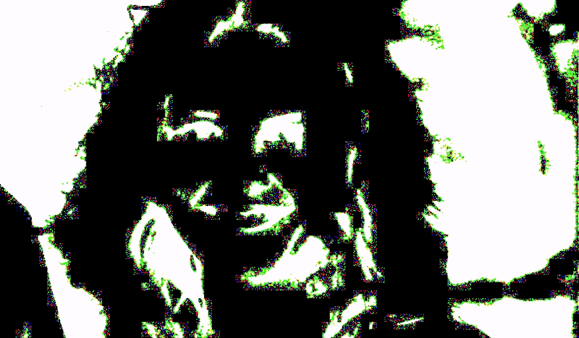 Meredith wright.jpg?ixlib=rails 2.1