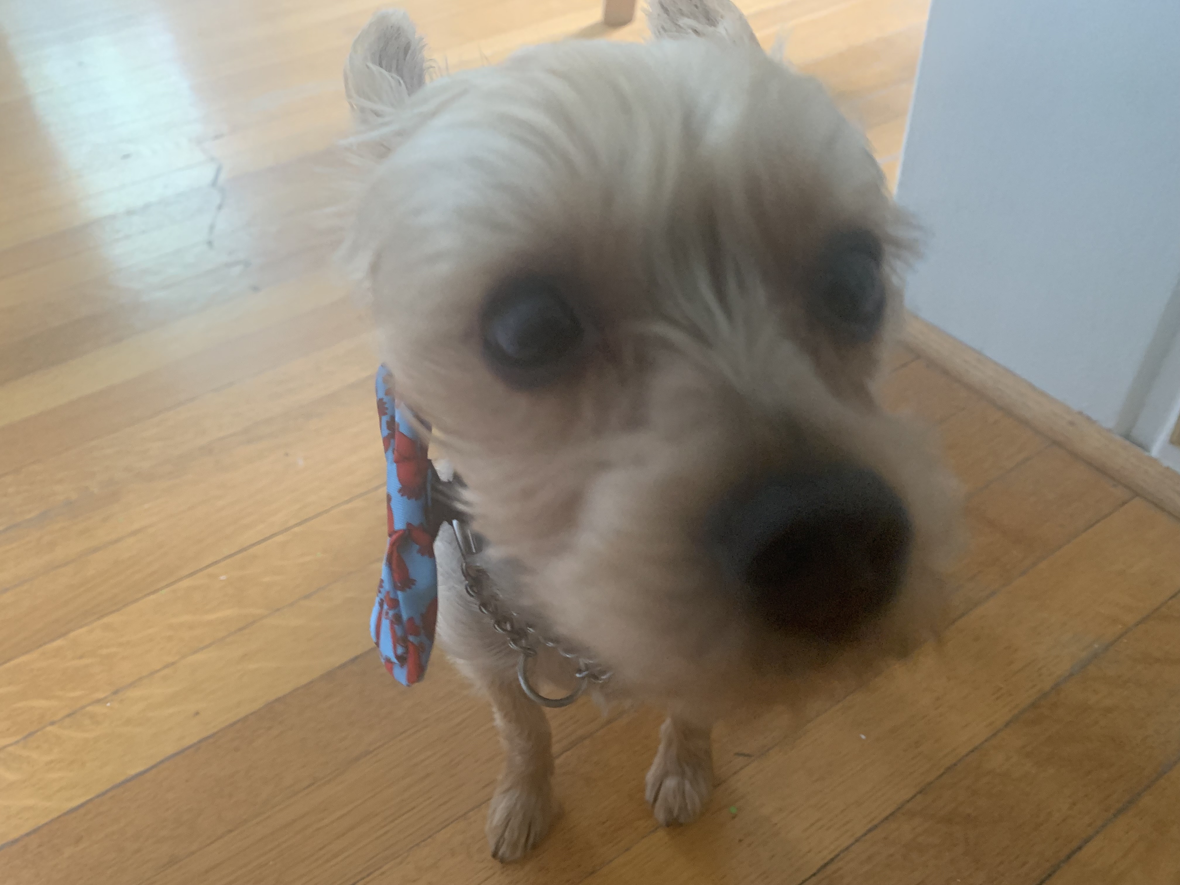 Img 0749.jpg?ixlib=rails 2.1