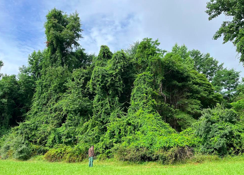 Screen shot 2023 07 09 at 8.54.43 pm.png?ixlib=rails 2.1