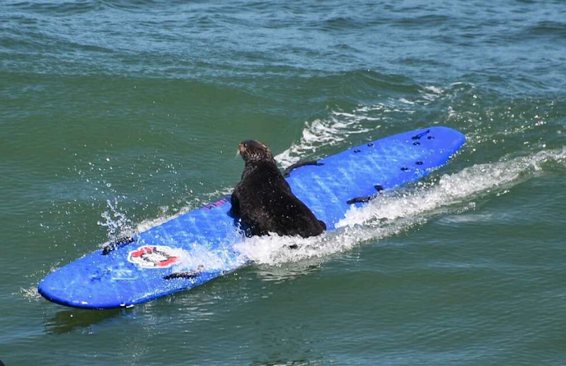 Screenshot 2023 07 20 at 11.22.00 pm.png?ixlib=rails 2.1