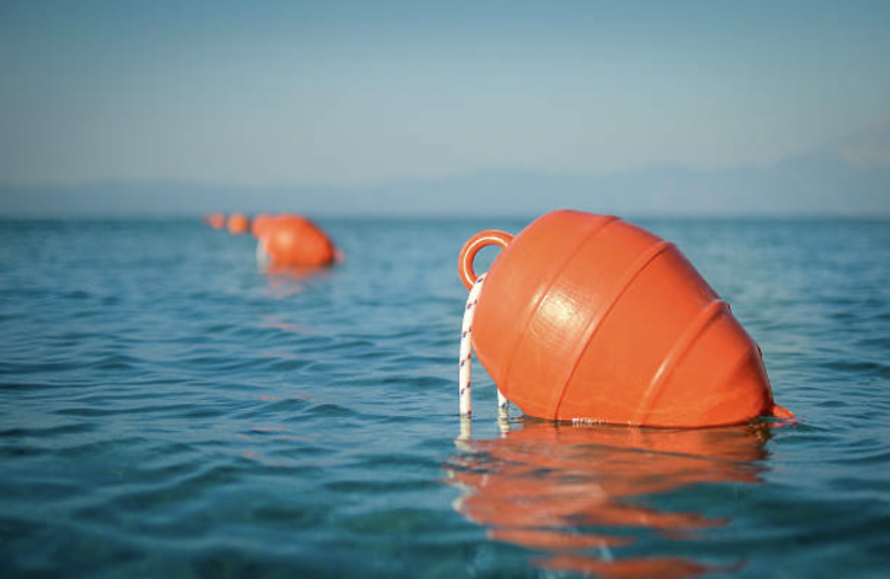 Img 9594.jpeg?ixlib=rails 2.1