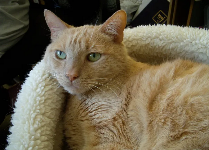 Img 0196.png?ixlib=rails 2.1