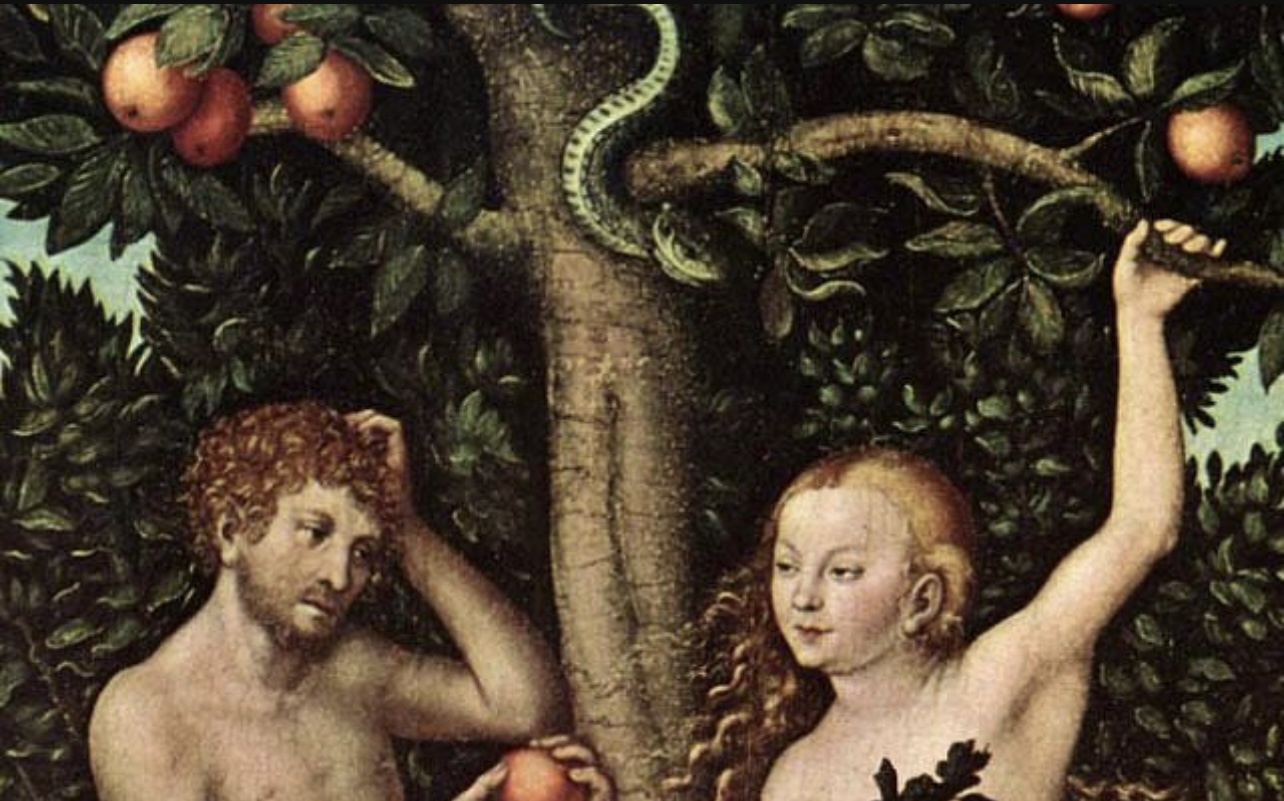 Img 0940.jpeg?ixlib=rails 2.1