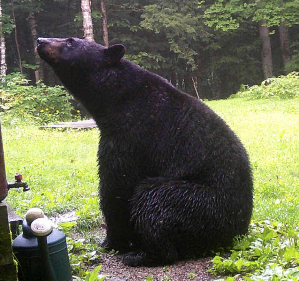 Screenshot 2023 09 11 at 3.48.58 pm.png?ixlib=rails 2.1