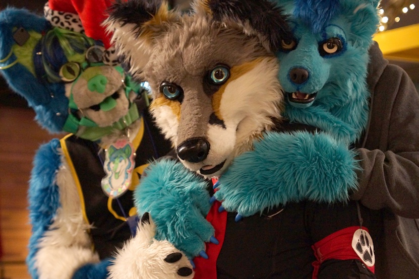 Furries denver conference canceled 19c73c80 7108 4967 927d 05933bd57193.jpg?ixlib=rails 2.1