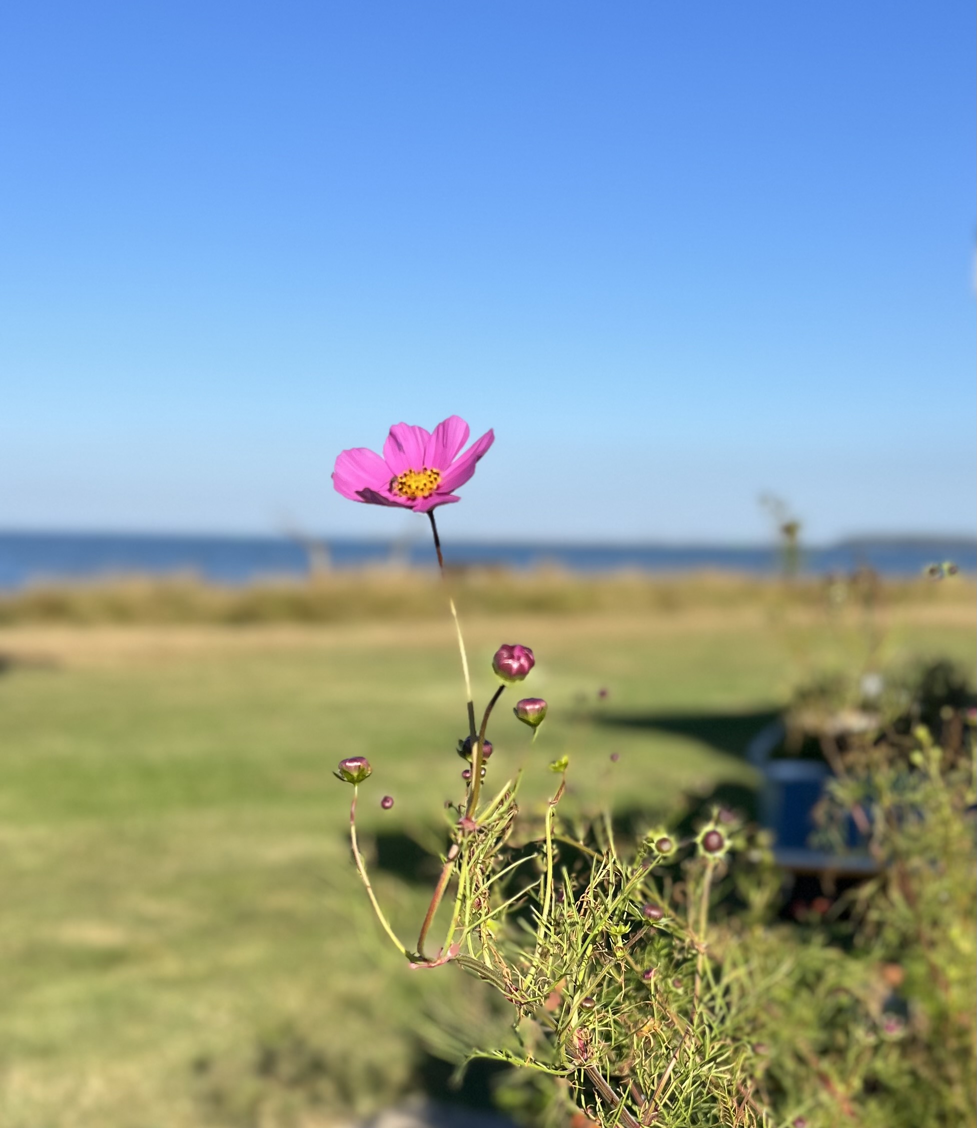 Image 50409985.jpg?ixlib=rails 2.1