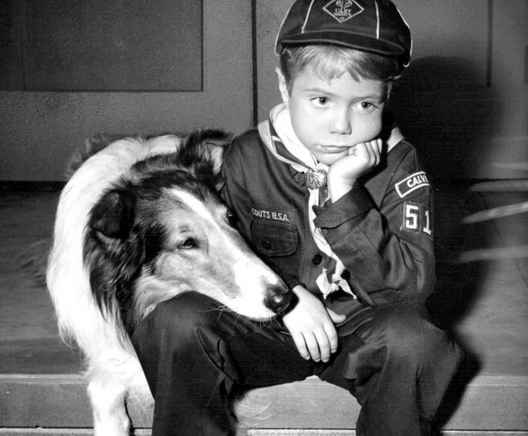 Lassie and timmy 2.jpg?ixlib=rails 2.1