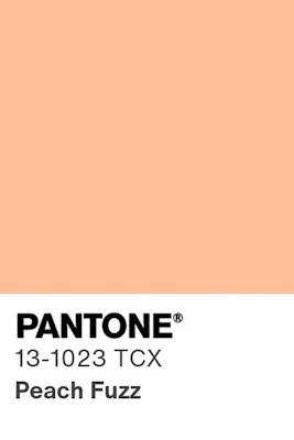 Pantone color chip 13 1023 tcx.jpeg?ixlib=rails 2.1