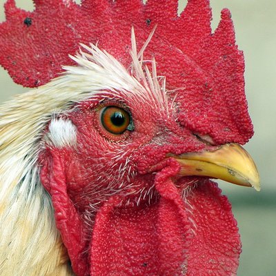 A3ympiwh 400x400.jpg?ixlib=rails 2.1