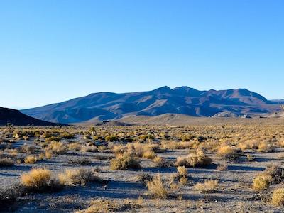 Desert.jpg?ixlib=rails 2.1