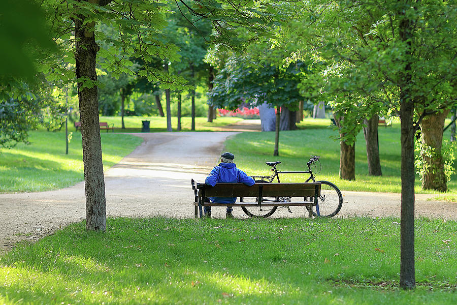 Old man on a bench javier gonzalez.jpg?ixlib=rails 2.1