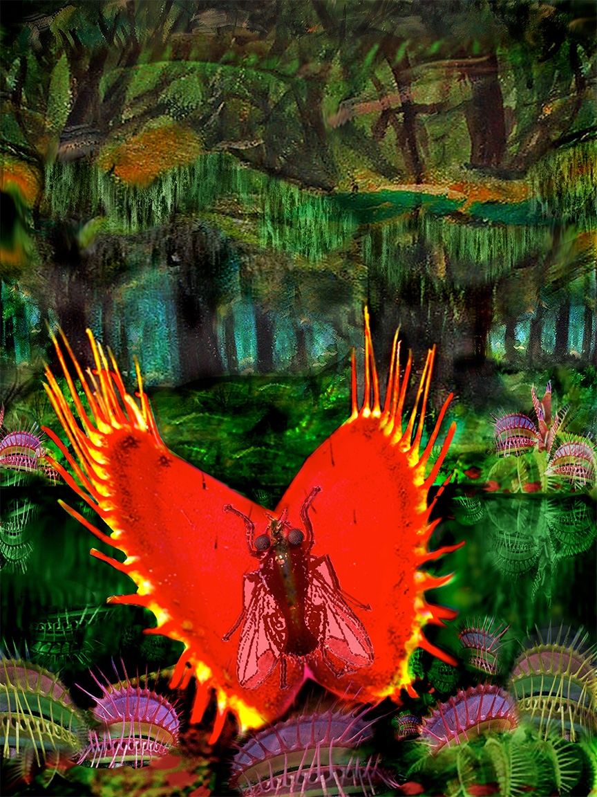 Flytrap.jpg?ixlib=rails 2.1