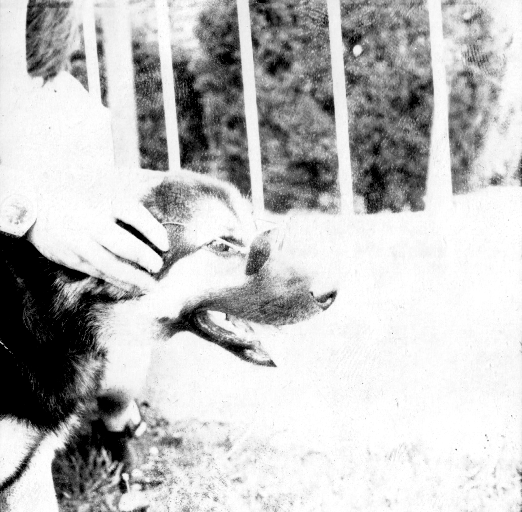 Scan 240605 140658 1.png?ixlib=rails 2.1