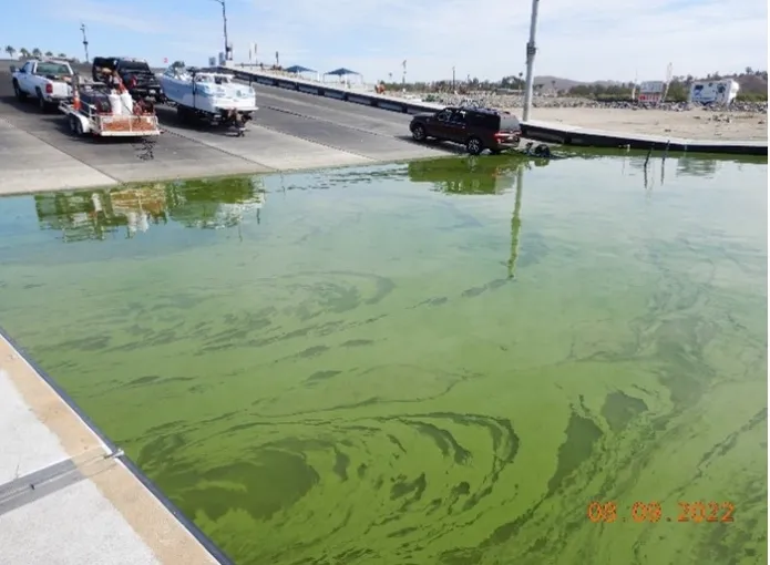 Screen shot 2022 08 16 at 2.45.43 pm.jpg?ixlib=rails 2.1