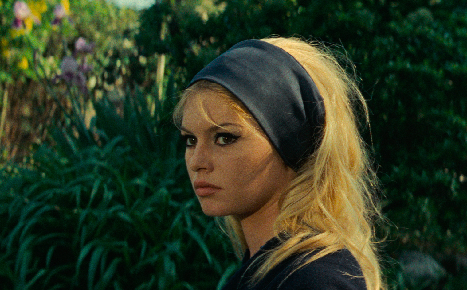 Contempt thumbnail.png?ixlib=rails 2.1