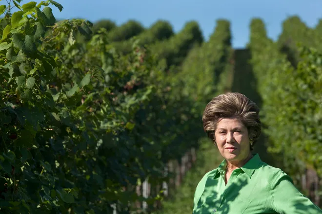 Ghows wt b9661bad 8596 4cb1 8a2b e3305cfe837b a601f7da.webp?ixlib=rails 2.1