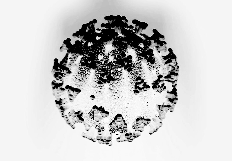 21214 coronavirus covid 19.jpg?ixlib=rails 2.1