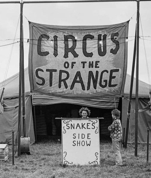 Screenshot 20240812 094205 gallery.jpg?ixlib=rails 2.1