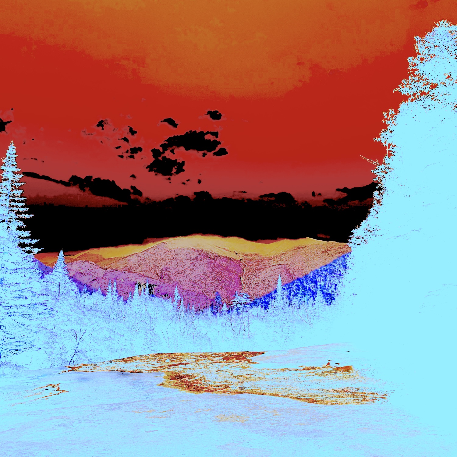 A84a3d47 654c 4825 90d2 07d99c27143b 9fe0e4dd 930c 4db5 b5ee f4c60425d78c 2.jpg?ixlib=rails 2.1