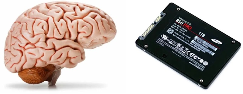 Brain and ssd.jpg?ixlib=rails 2.1