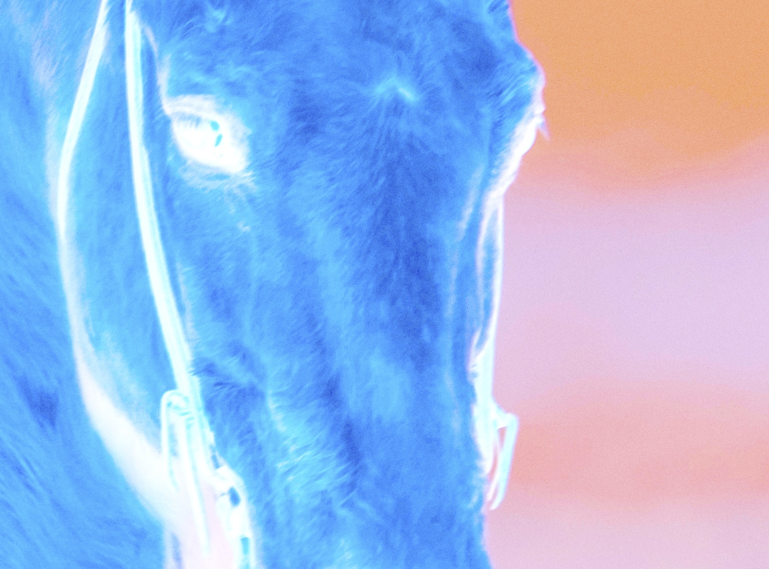 Reagan 2 2 21 00698 1.jpg?ixlib=rails 2.1