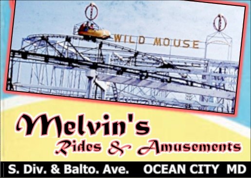 The wild mouse.jpg?ixlib=rails 2.1